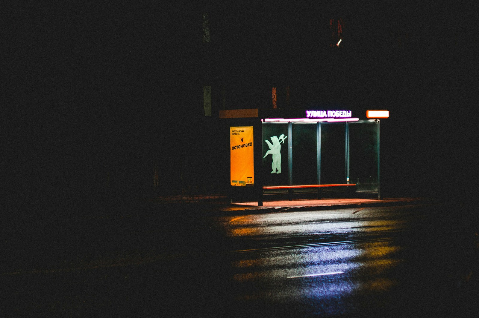 Modern transit shelter along a city street